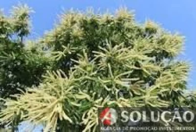 Terreno para Venda em Resende