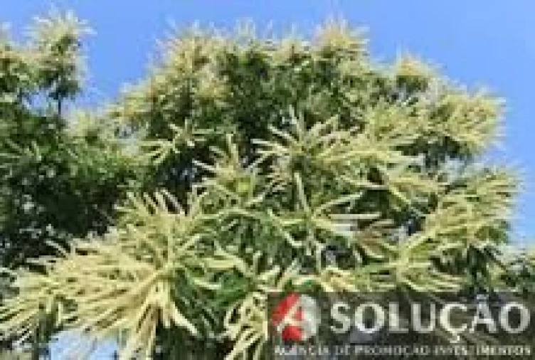 Terreno para Venda em Resende Foto 1