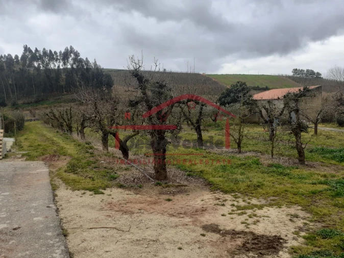 Terreno para Venda em Peral Foto 5