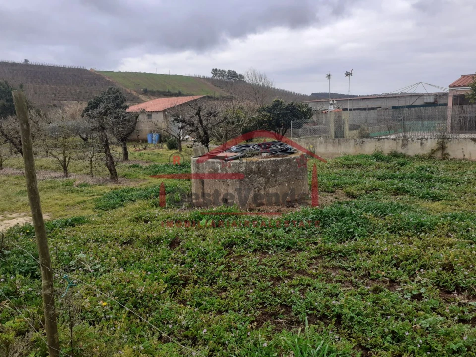 Terreno para Venda em Peral Foto 4