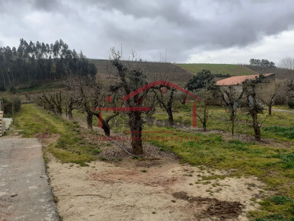 Terreno para Venda em Peral Foto 5