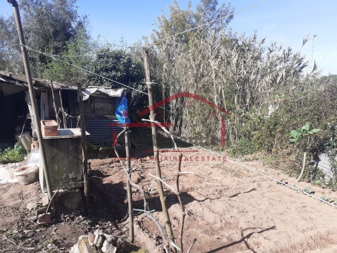 Moradia T1 para Venda em Peral Foto 11