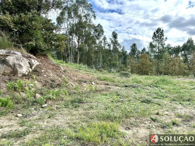 Terreno para Venda em Campos e Louredo Foto 6