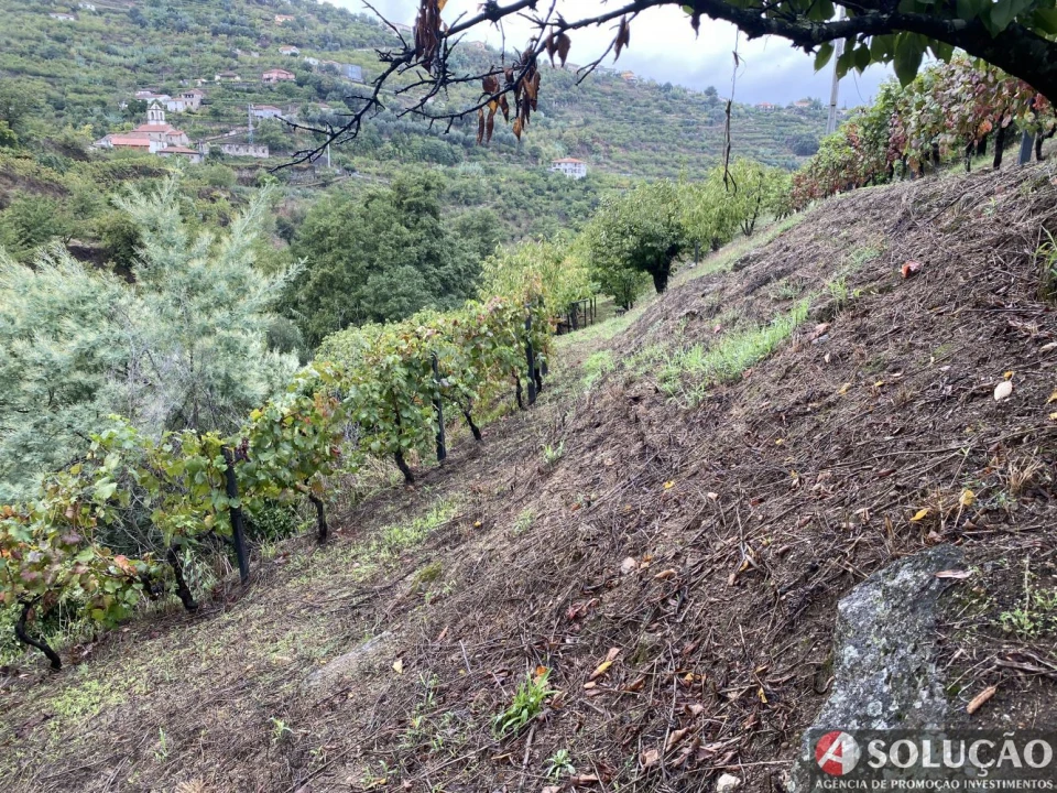 Moradia T3 para Venda em São João de Fontoura Foto 17