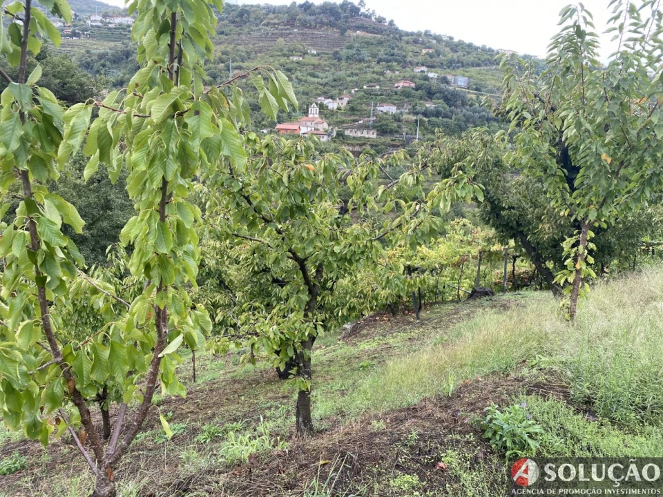 Moradia T3 para Venda em São João de Fontoura Foto 20