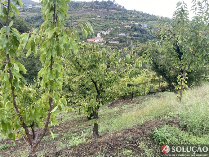 Moradia T3 para Venda em São João de Fontoura Foto 20