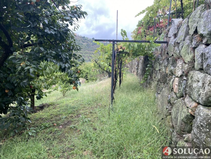 Moradia T3 para Venda em São João de Fontoura Foto 21