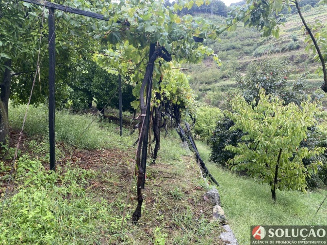 Moradia T3 para Venda em São João de Fontoura Foto 14