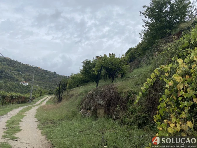 Moradia T3 para Venda em São João de Fontoura Foto 18