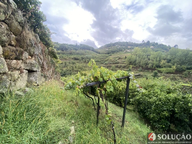 Moradia T3 para Venda em São João de Fontoura Foto 12