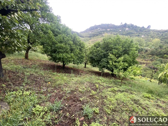 Moradia T3 para Venda em São João de Fontoura Foto 4