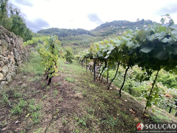 Moradia T3 para Venda em São João de Fontoura Foto 7