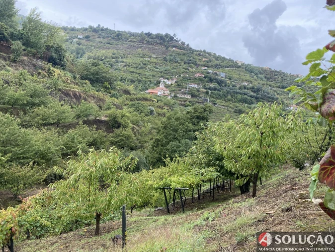 Moradia T3 para Venda em São João de Fontoura Foto 16