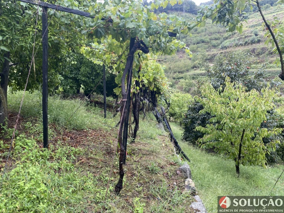 Moradia T3 para Venda em São João de Fontoura Foto 14