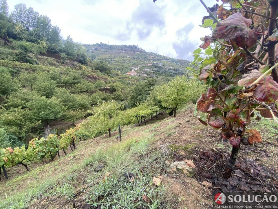 Moradia T3 para Venda em São João de Fontoura Foto 15