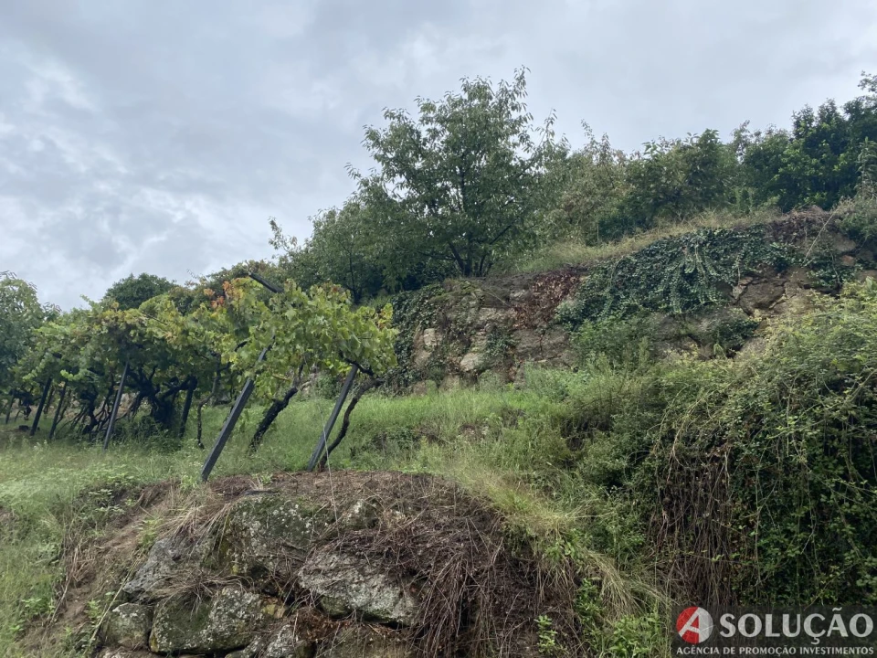 Moradia T3 para Venda em São João de Fontoura Foto 19