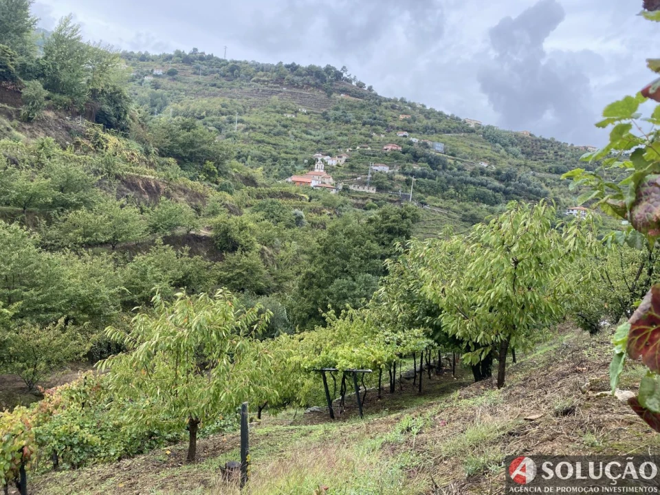 Moradia T3 para Venda em São João de Fontoura Foto 16