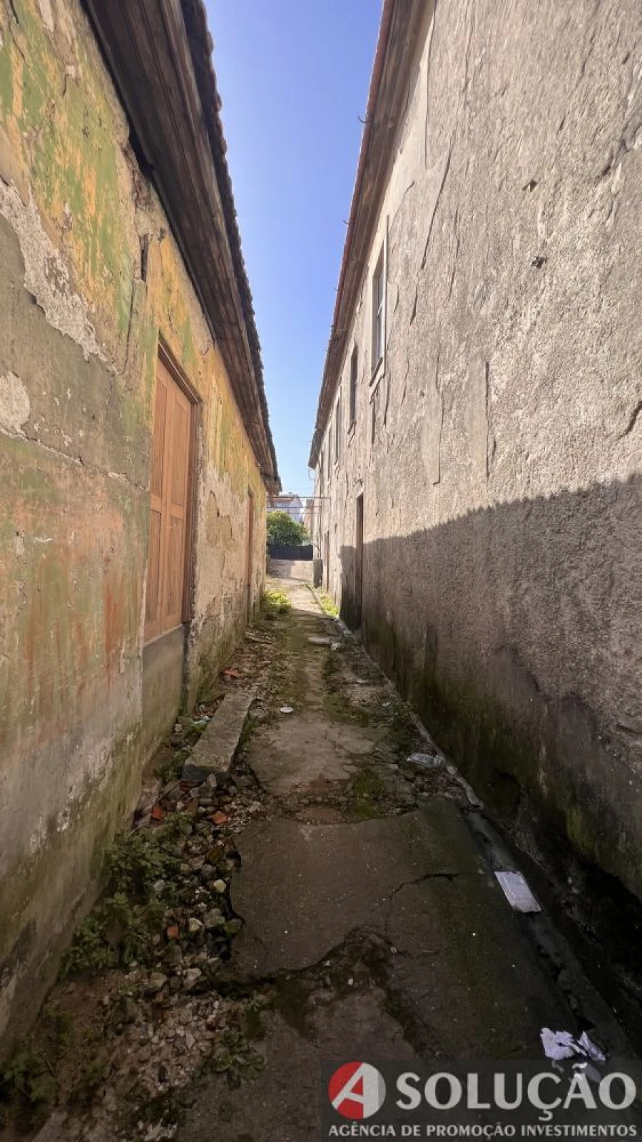 Moradia T6 para Venda em Oliveira do Douro Foto 3