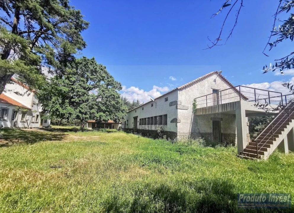 Moradia T4 para Venda em Vale de Prazeres e Mata da Rainha Foto 8