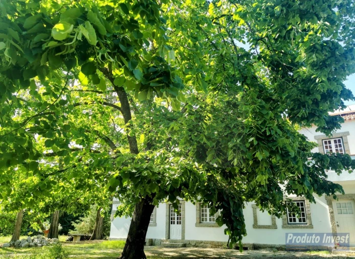 Moradia T4 para Venda em Vale de Prazeres e Mata da Rainha Foto 3