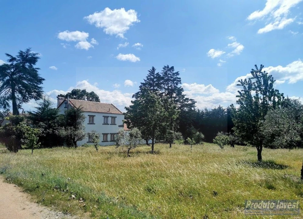 Moradia T4 para Venda em Vale de Prazeres e Mata da Rainha Foto 12