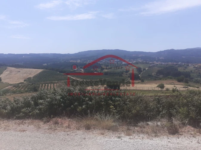 Moradia T0 para Venda em Peral Foto 14