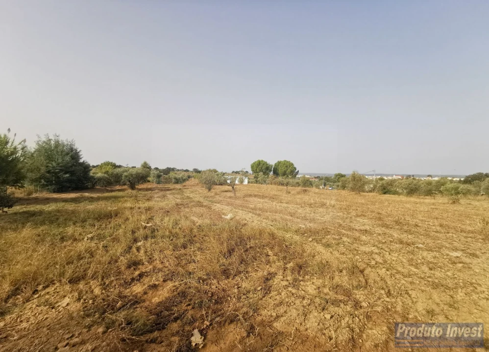 Terreno para Venda em Ladoeiro Foto 7