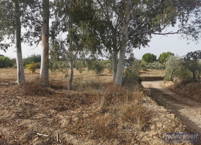 Terreno para Venda em Ladoeiro Foto 13