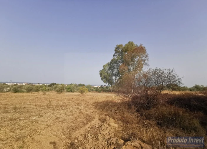 Terreno para Venda em Ladoeiro Foto 8