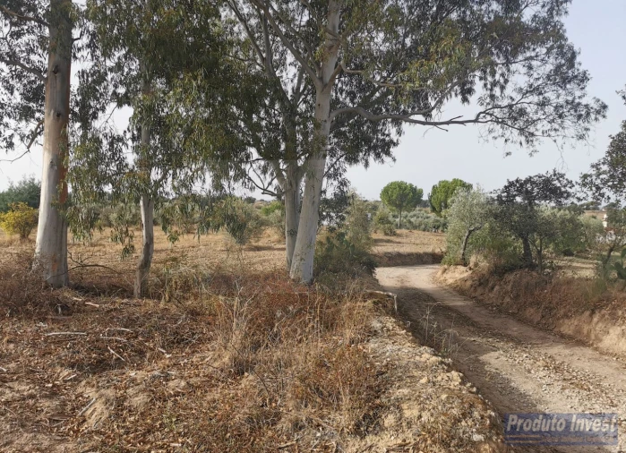 Terreno para Venda em Ladoeiro Foto 11