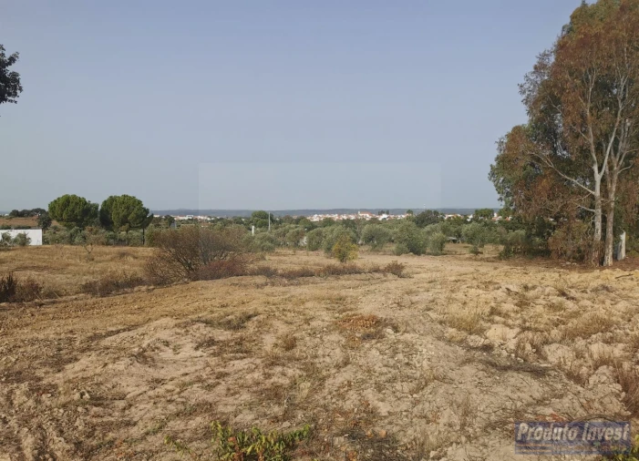 Terreno para Venda em Ladoeiro Foto 10