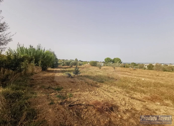 Terreno para Venda em Ladoeiro Foto 6