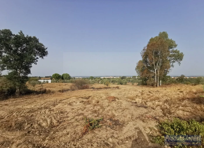 Terreno para Venda em Ladoeiro Foto 9
