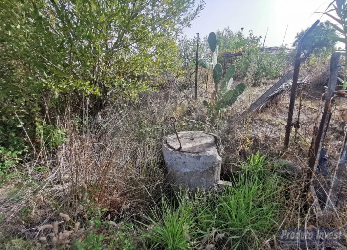 Terreno para Venda em Ladoeiro Foto 4