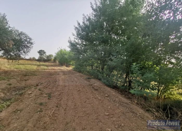 Terreno para Venda em Ladoeiro Foto 3