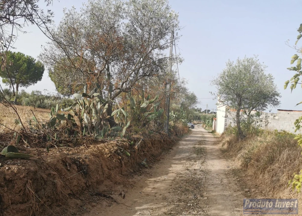 Terreno para Venda em Ladoeiro Foto 14