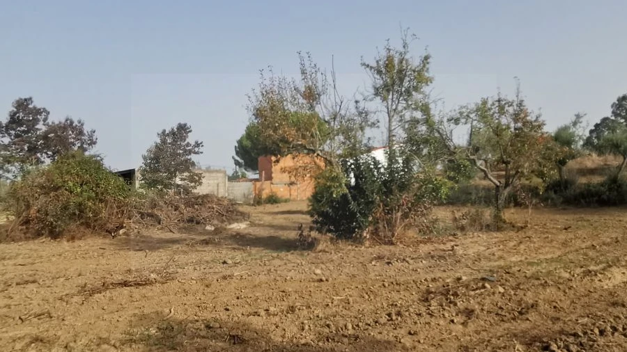 Terreno para Venda em Ladoeiro