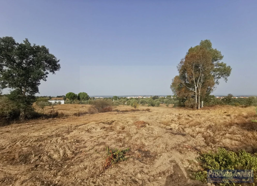 Terreno para Venda em Ladoeiro Foto 9