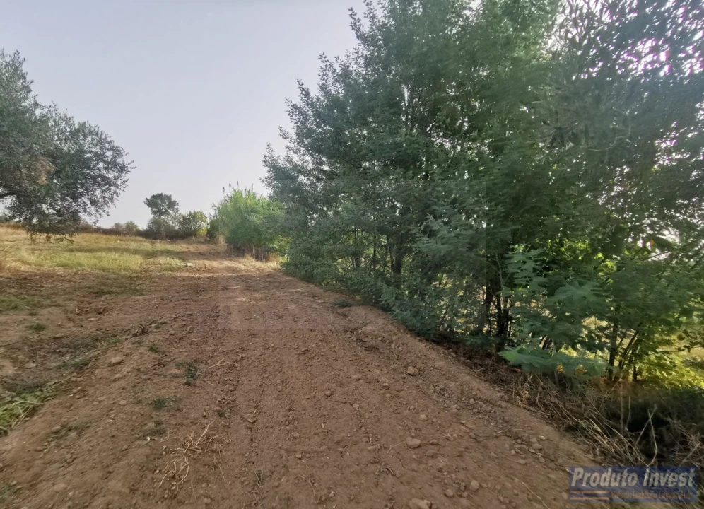 Terreno para Venda em Ladoeiro Foto 3
