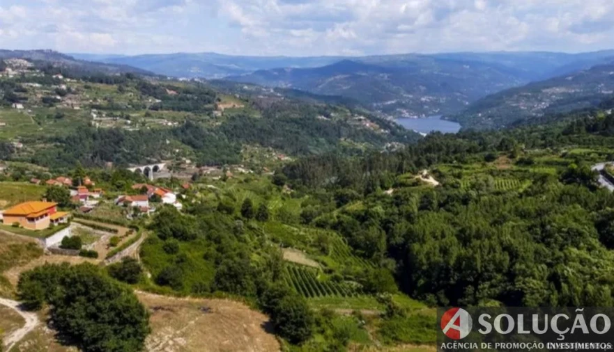 Terreno para Venda em Vila Caiz Foto 7