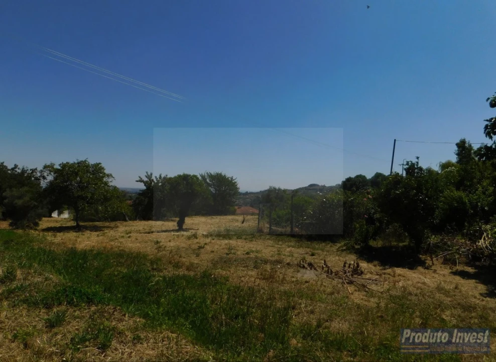 Terreno para Venda em Alpedrinha Foto 4