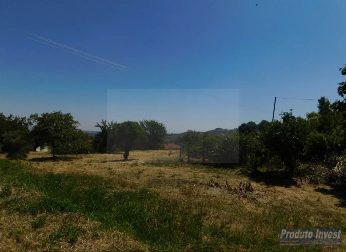 Terreno para Venda em Alpedrinha Foto 4