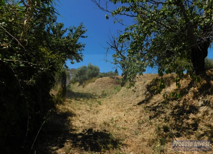 Terreno para Venda em Alpedrinha Foto 11