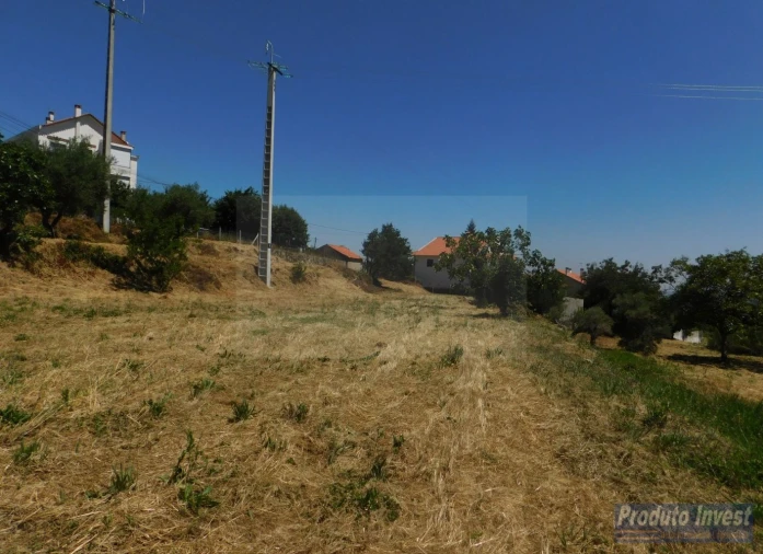 Terreno para Venda em Alpedrinha Foto 6