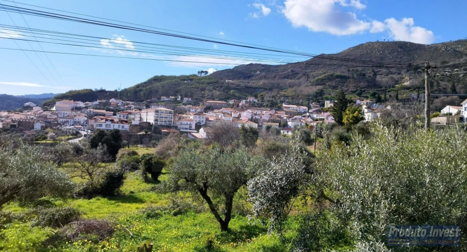 Terreno para Venda em Alpedrinha Foto 17