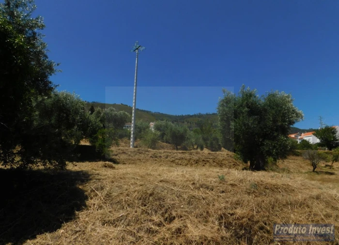 Terreno para Venda em Alpedrinha Foto 10