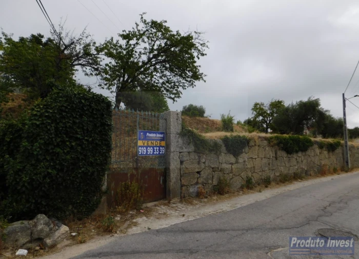Terreno para Venda em Alpedrinha Foto 13
