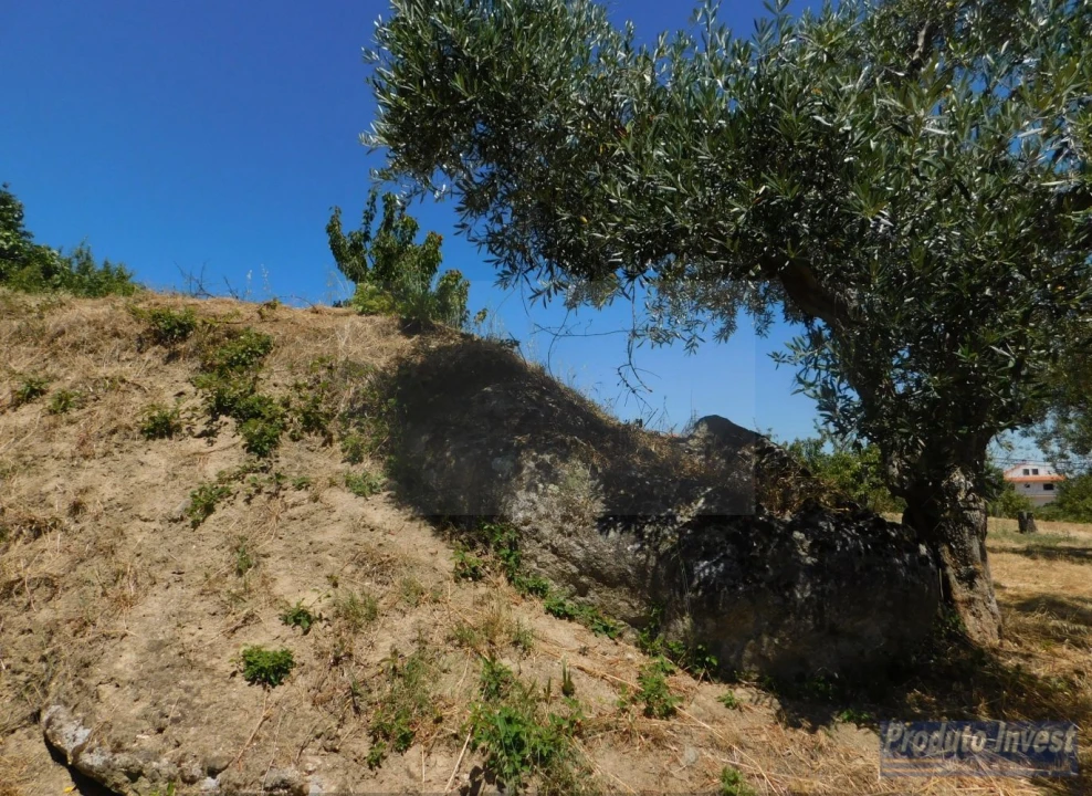 Terreno para Venda em Alpedrinha Foto 8