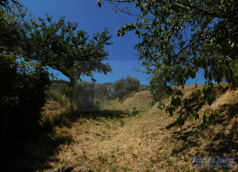 Terreno para Venda em Alpedrinha Foto 12