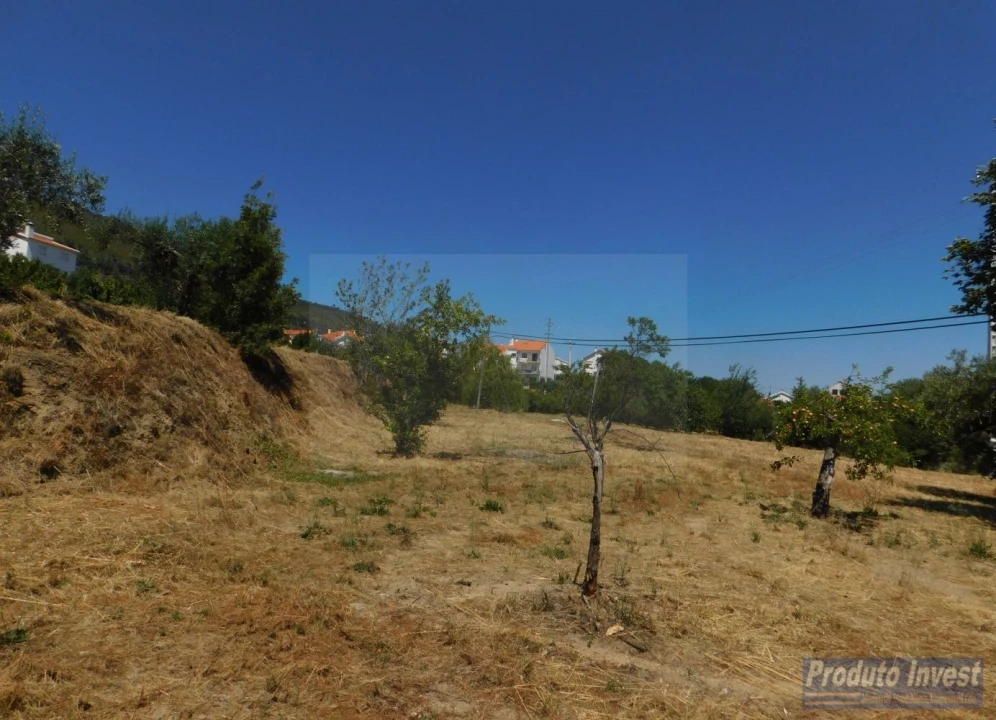 Terreno para Venda em Alpedrinha Foto 5